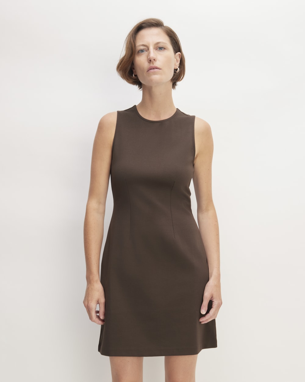 The Dream '90S Shift Dress | Earth Brown